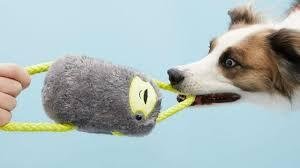 rope toy DOG